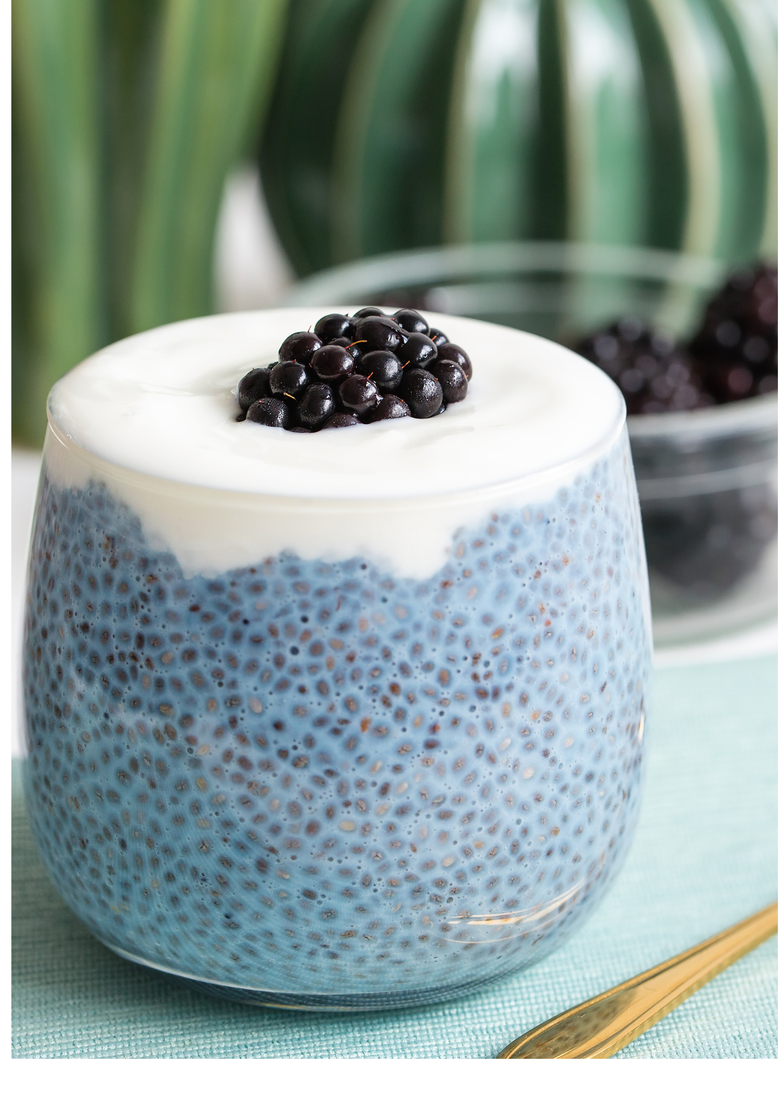 Best Instant Puddings – High Protein, Sugar-Free | Vyaanza